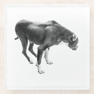 Dessous-de-verre En Verre Gardien de table d'automne