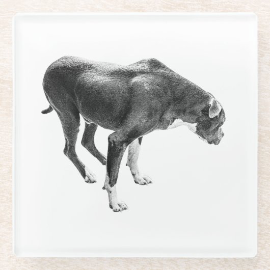 Dessous-de-verre En Verre Gardien de table d'automne (Devant)