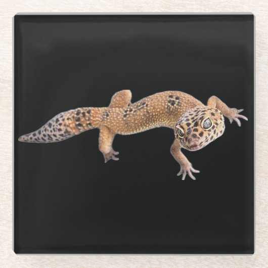 Dessous-de-verre En Verre Gecko léopard (Devant)