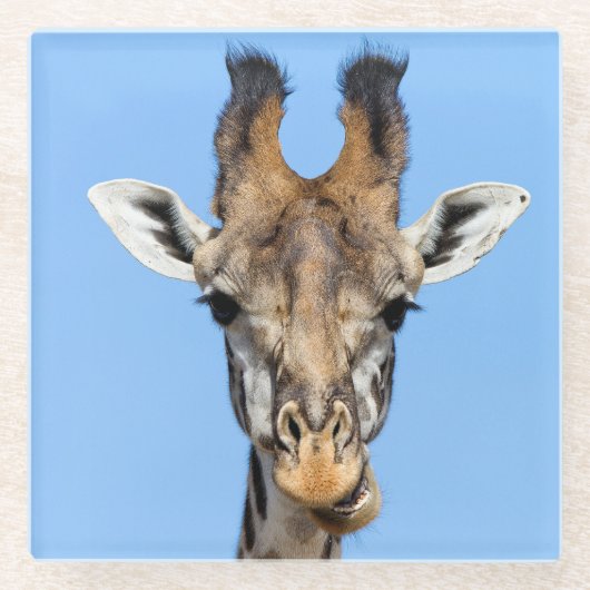 Dessous-de-verre En Verre Giraffe (Devant)