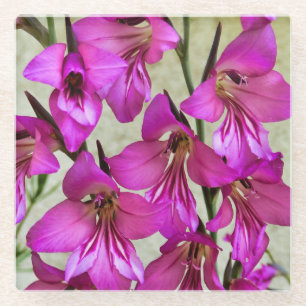 Dessous-de-verre En Verre Gladiolus byzantin