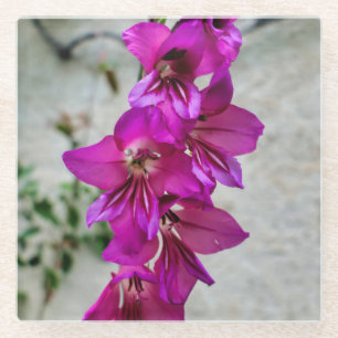 Dessous-de-verre En Verre Gladiolus byzantin