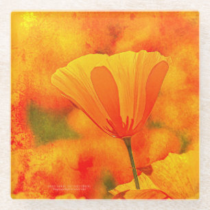 Dessous-de-verre En Verre Golden Orange California Poppy "Terre D'Orange"