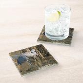 Dessous-de-verre En Verre Graine de Sandhill (Incliné)