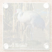 Dessous-de-verre En Verre Graine de Sandhill (Dos)