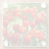 Dessous-de-verre En Verre Grand champ de tulipes rouges (Dos)