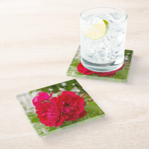 Dessous-de-verre En Verre Grandes roses rouges dans le jardin