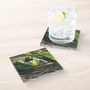 Dessous-de-verre En Verre Grenouille taureau