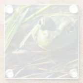 Dessous-de-verre En Verre Grenouille taureau (Dos)