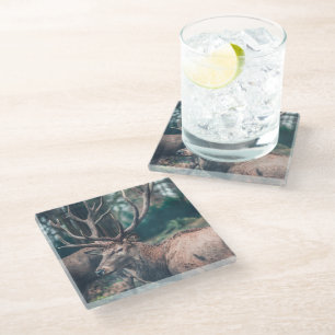 Dessous-de-verre En Verre Gros cerf Brown avec gros colliers