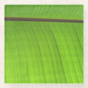 Dessous-de-verre En Verre Gros plan de la feuille de banane