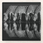 Dessous-de-verre En Verre Group of Plains Zebra Drink Together at Night (Devant)