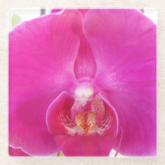 Dessous-de-verre En Verre Guda (Devant)