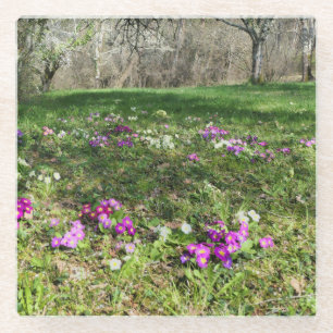 Dessous-de-verre En Verre Harbinger du printemps