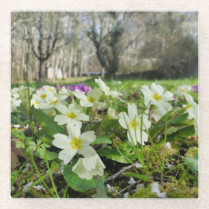 Dessous-de-verre En Verre Harbinger du printemps