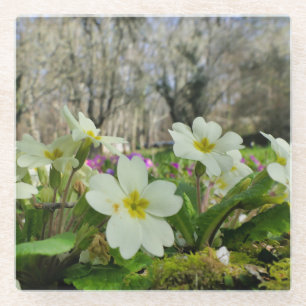 Dessous-de-verre En Verre Harbinger du printemps
