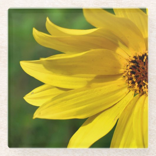 Dessous-de-verre En Verre Hélénium de marguerite jaune (Devant)
