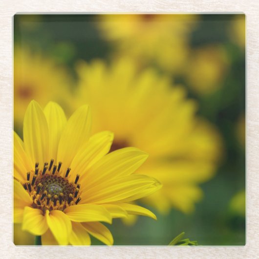 Dessous-de-verre En Verre Hélénium de marguerite jaune (Devant)