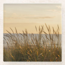 Herbe de plage au coucher du soleil, esthétique ca
