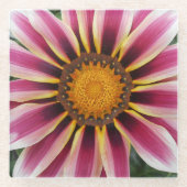 Dessous-de-verre En Verre Hereford (Devant)