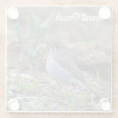 Dessous-de-verre En Verre Hermite Thrush (Dos)