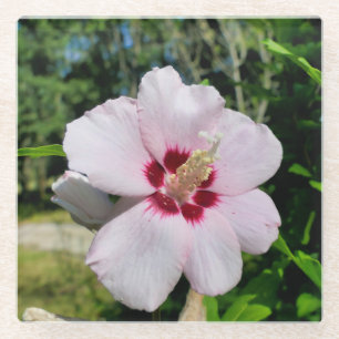 Dessous-de-verre En Verre Hibiscus