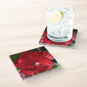 Dessous-de-verre En Verre Hibiscus rouge fleur de marais