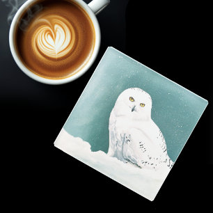 Dessous-de-verre En Verre Hibou blanc ciel arctique hiver neige sarcelle