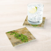 Dessous-de-verre En Verre Hydrangea petiolaris (Incliné)