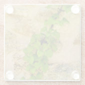 Dessous-de-verre En Verre Hydrangea petiolaris (Dos)