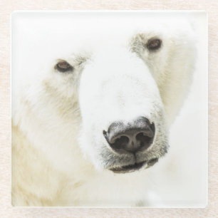 Dessous-de-verre En Verre Icy regard d'un ours polaire