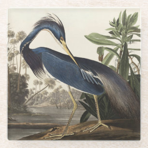 Dessous-de-verre En Verre Illustration vintage d'Audubon du Héron de Louisia