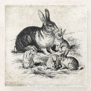 Dessous-de-verre En Verre Illustration vintage de la famille de lapins, lapi