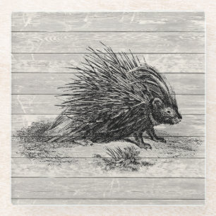 Dessous-de-verre En Verre Illustration vintage du porc-épic