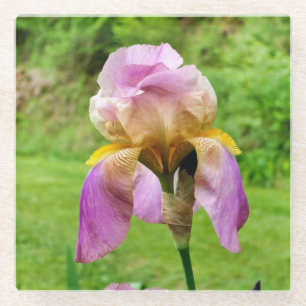 Dessous-de-verre En Verre Iris à poils