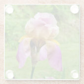 Dessous-de-verre En Verre Iris à poils (Dos)