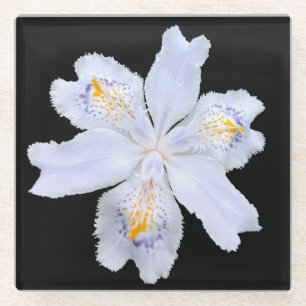 Dessous-de-verre En Verre Iris blanc