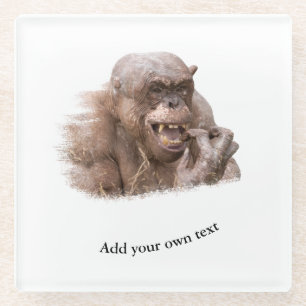 Dessous-de-verre En Verre Jambo The Hairless Chimp (modifier votre propre te