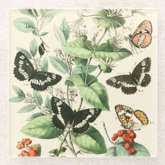 Dessous-de-verre En Verre Jardin des papillons et des fleurs (Devant)