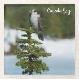 Dessous-de-verre En Verre Jay du Canada