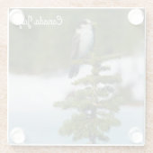 Dessous-de-verre En Verre Jay du Canada (Dos)