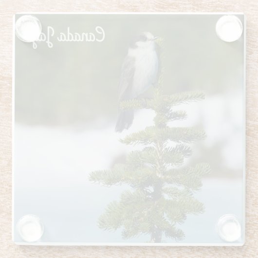 Dessous-de-verre En Verre Jay du Canada (Dos)