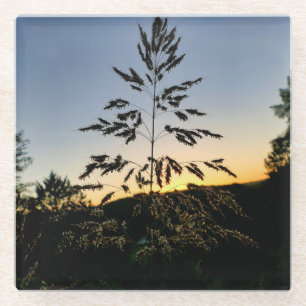 Dessous-de-verre En Verre Johnson Grass