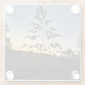 Dessous-de-verre En Verre Johnson Grass (Dos)