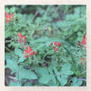 DESSOUS-DE-VERRE EN VERRE JOLLY JUILY