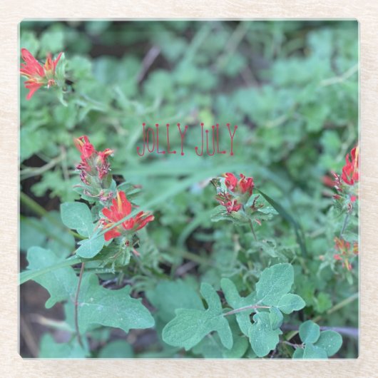 DESSOUS-DE-VERRE EN VERRE JOLLY JUILY (Devant)