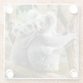 Dessous-de-verre En Verre Koala avec bébé dans un arbre en Australie (Dos)