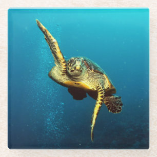 Dessous-de-verre En Verre La nage sous-marine des tortues de mer