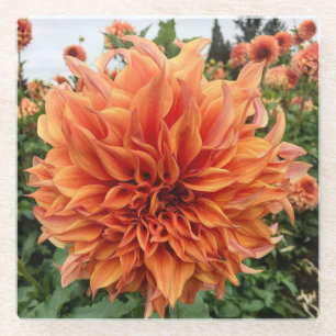 Dessous-de-verre En Verre La Pêche de Sherwood