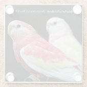 Dessous-de-verre En Verre La Perruche de Rubino Bourke (Dos)